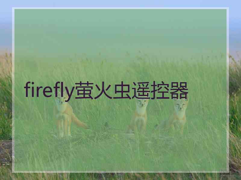 firefly萤火虫遥控器