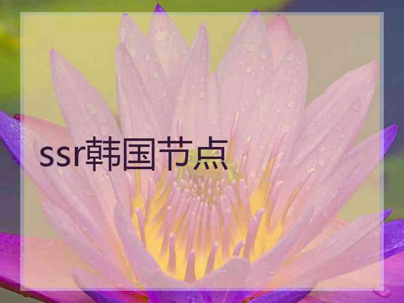 ssr韩国节点