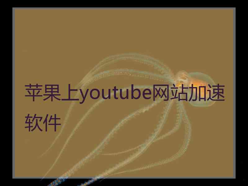 苹果上youtube网站加速软件