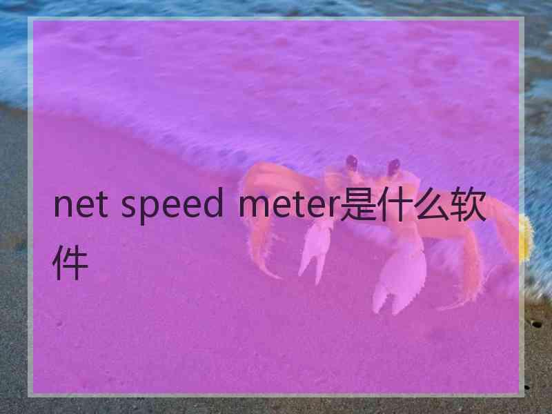 net speed meter是什么软件