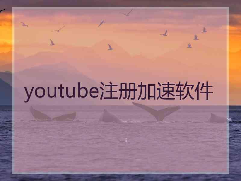 youtube注册加速软件