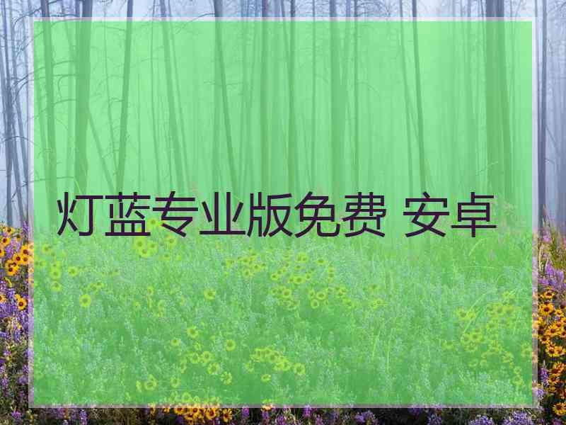 灯蓝专业版免费 安卓