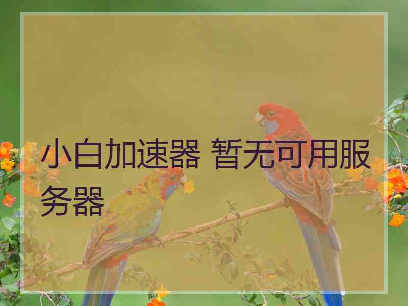小白加速器 暂无可用服务器