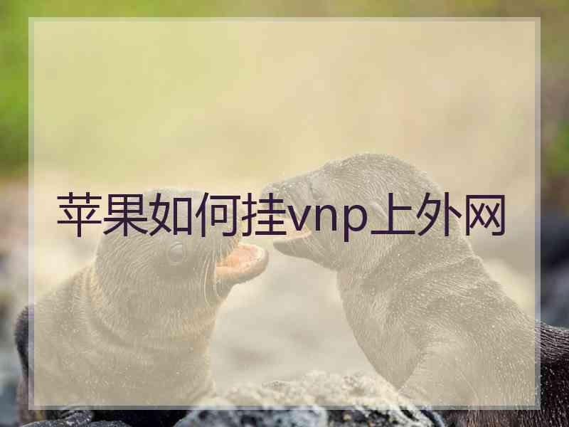 苹果如何挂vnp上外网