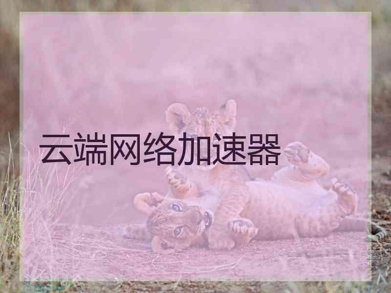 云端网络加速器