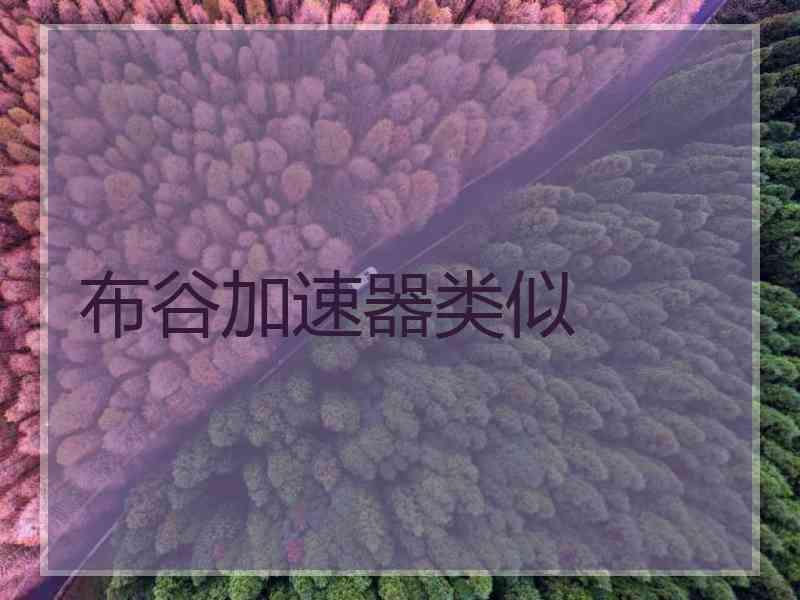 布谷加速器类似