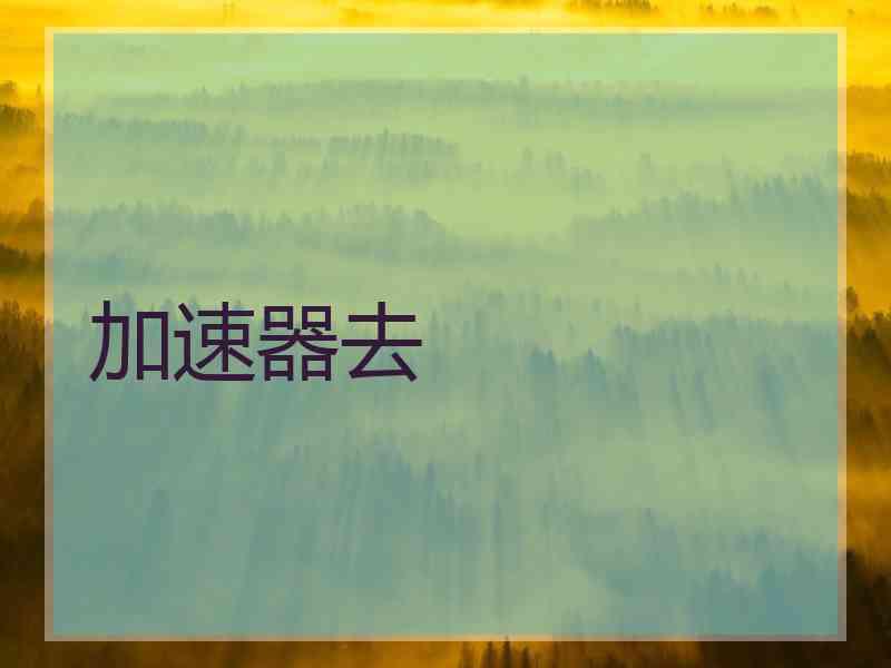 加速器去