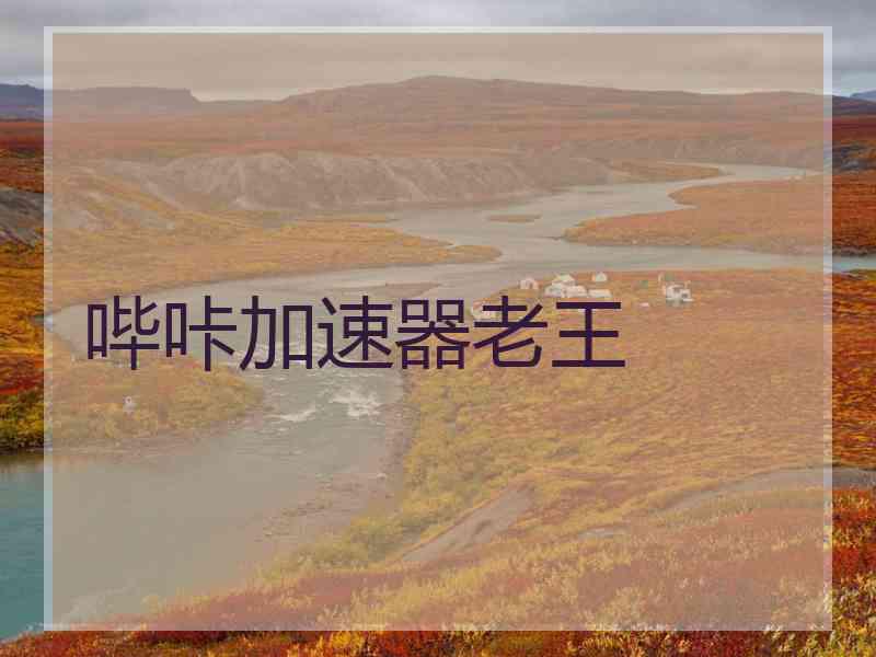 哔咔加速器老王