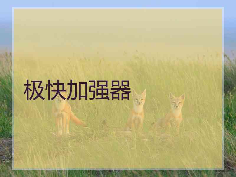 极快加强器