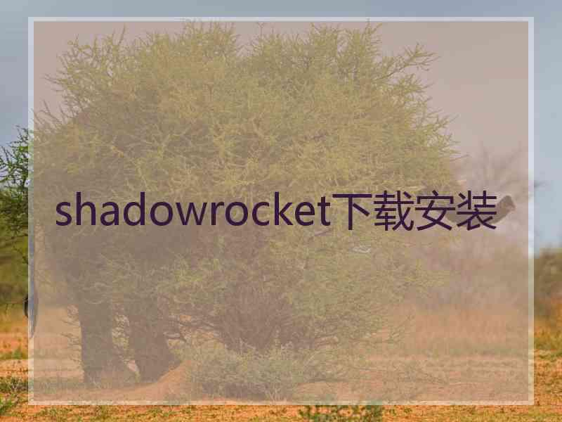 shadowrocket下载安装