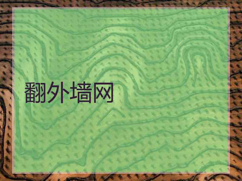 翻外墙网