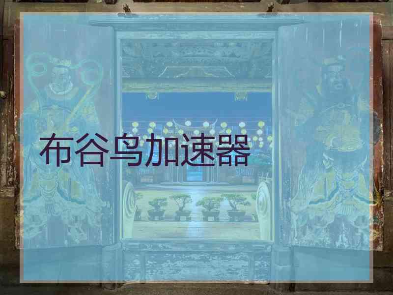 布谷鸟加速器