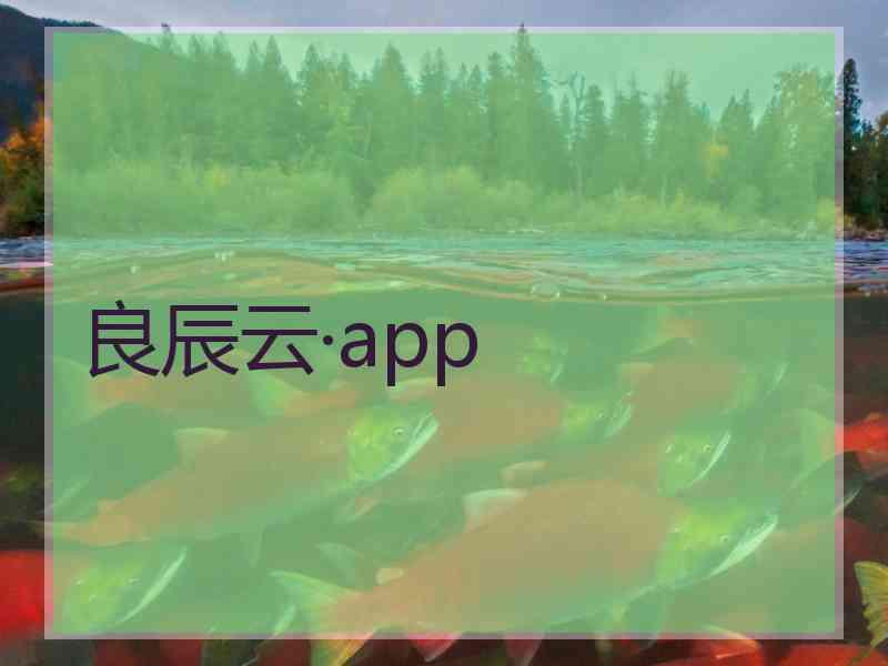 良辰云·app