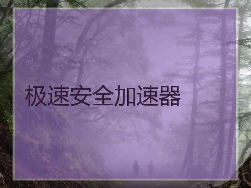 极速安全加速器