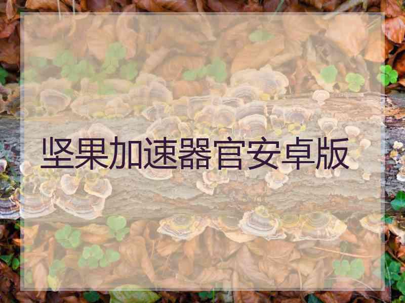 坚果加速器官安卓版