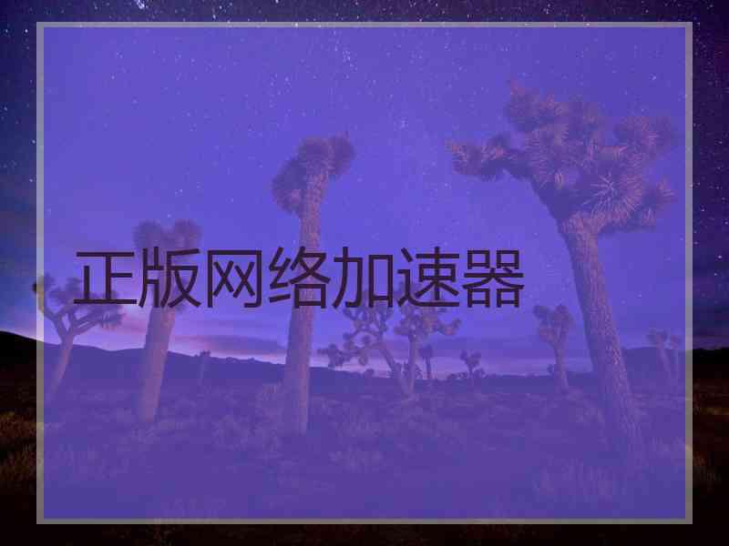 正版网络加速器