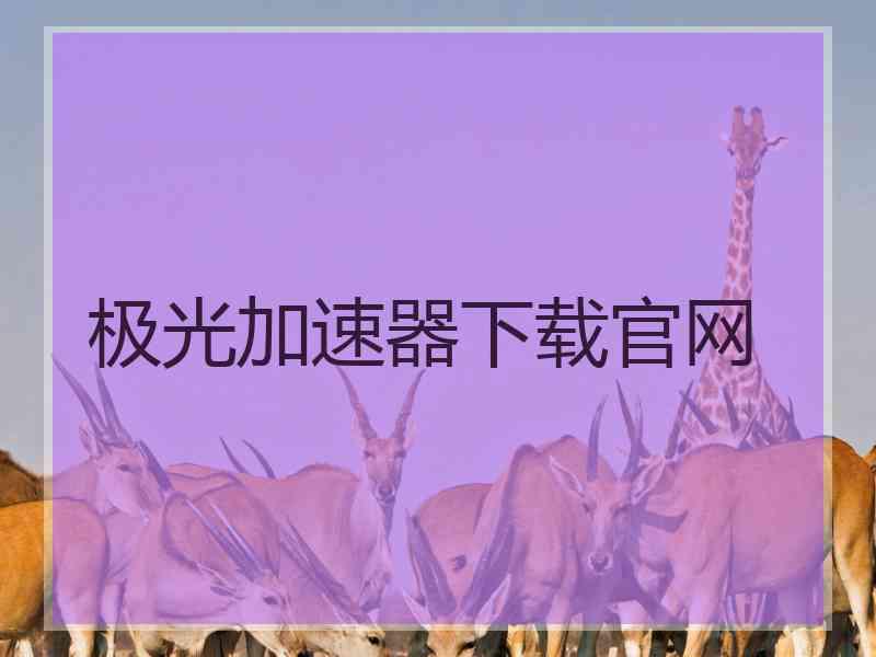 极光加速器下载官网
