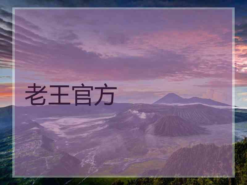 老王官方
