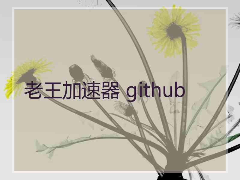 老王加速器 github