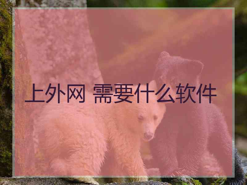 上外网 需要什么软件