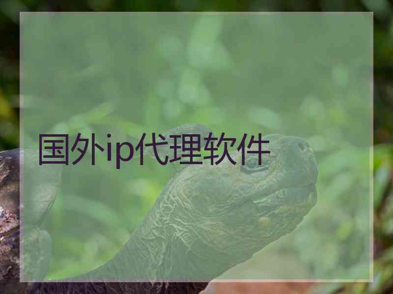 国外ip代理软件