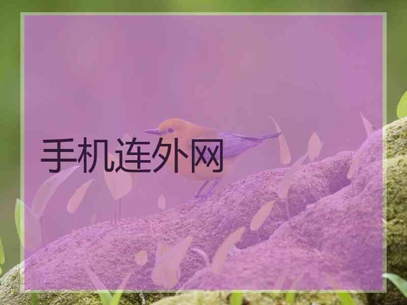 手机连外网