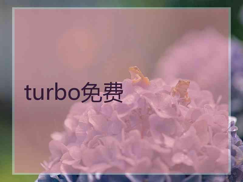 turbo免费