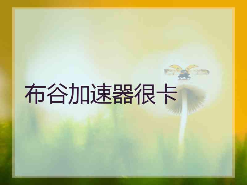 布谷加速器很卡