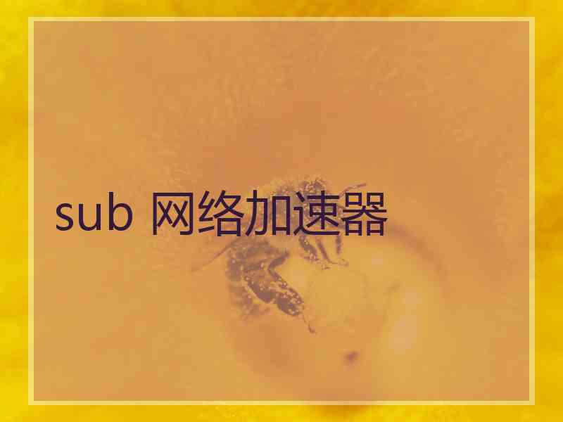 sub 网络加速器