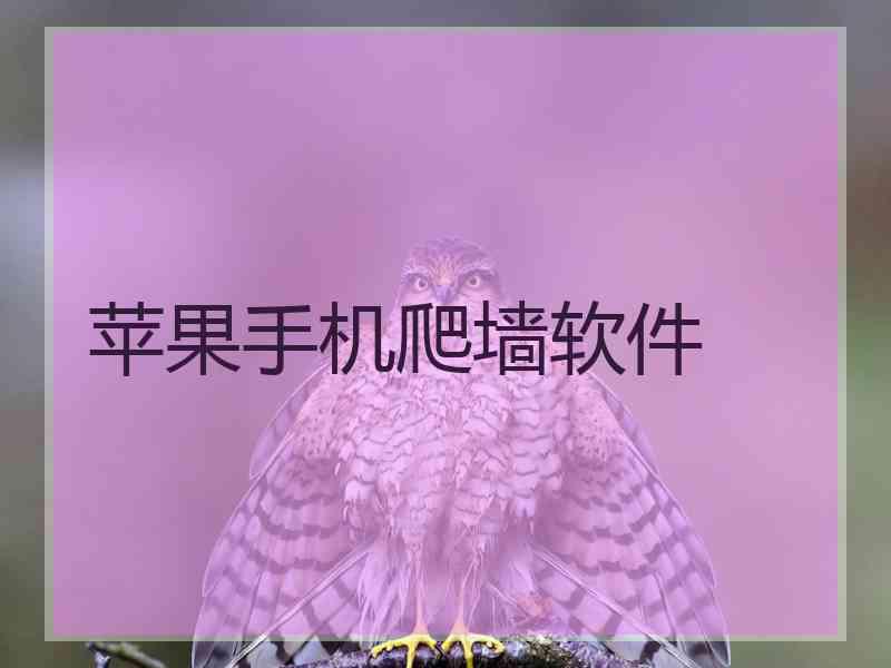 苹果手机爬墙软件