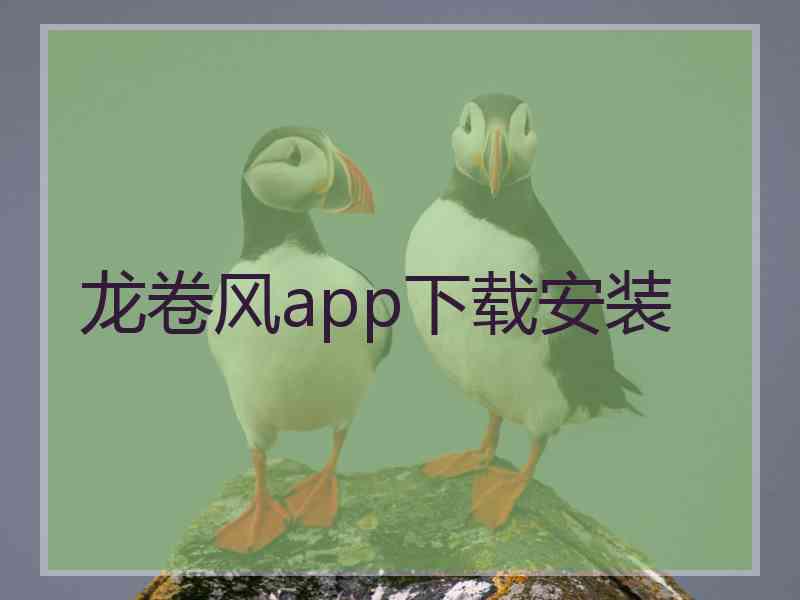 龙卷风app下载安装