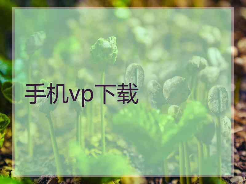 手机vp下载